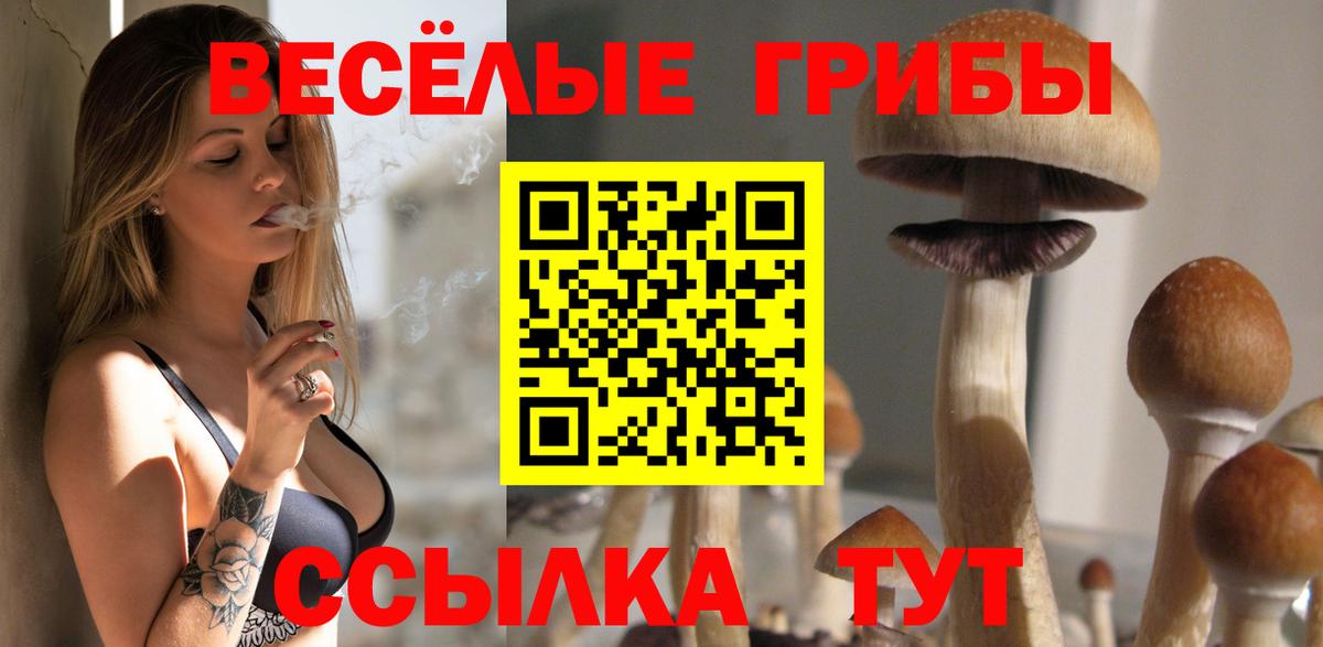Галлюциногенные грибы мицелий  Вход с VPN  Саянск  Галлюциногенные грибы Psilocybe 